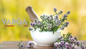 Töredezett haj ellen és lándzsás útifű